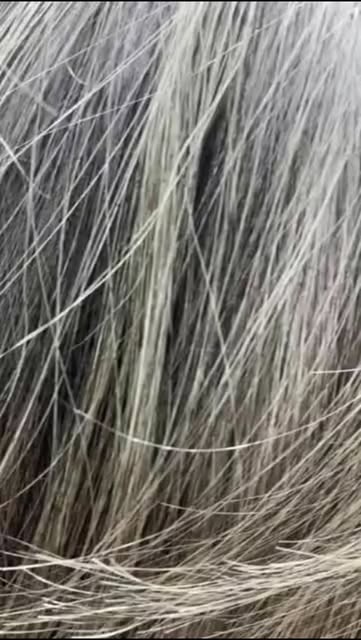 Detalle del cabello publicado por Chiqui Paz Studio